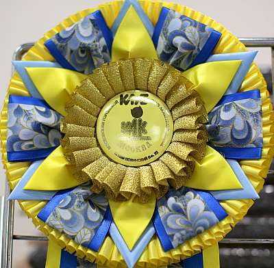   '--' 11-12  2015 169A4897 copy.jpg